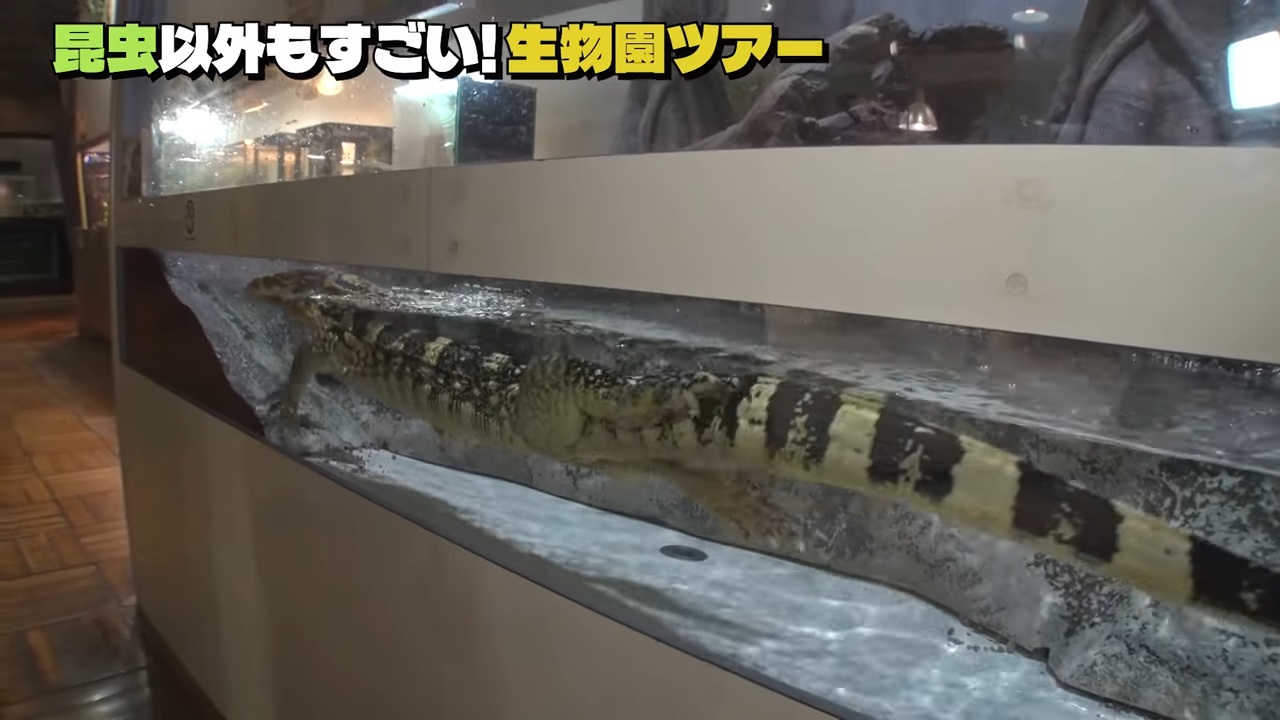 香川照之、YouTubeで生物園を訪ね大興奮の画像