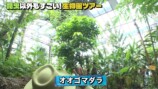 香川照之、YouTubeで生物園を訪ね大興奮の画像