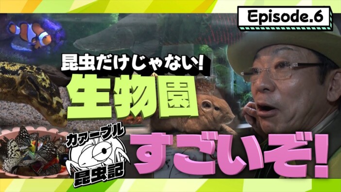 昆虫好きの香川照之、YouTubeで生物園を訪ね大興奮 オオゴマダラに手を振る場面も