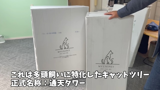 巨大なキャットツリーでくつろぐ猫たち