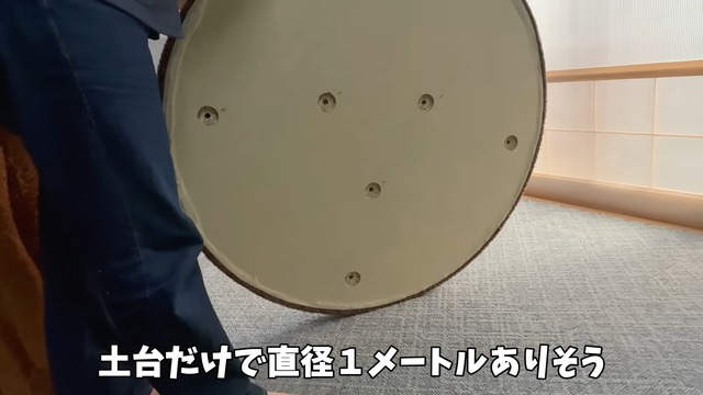 巨大なキャットツリーでくつろぐ猫たち