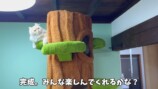 巨大なキャットツリーでくつろぐ猫たち