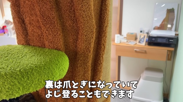 巨大なキャットツリーでくつろぐ猫たち