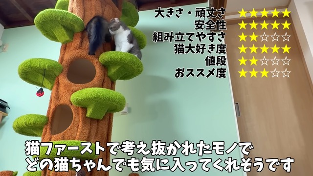 巨大なキャットツリーでくつろぐ猫たち