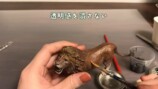 リペイントで大変貌した100円のライオンフィギュア