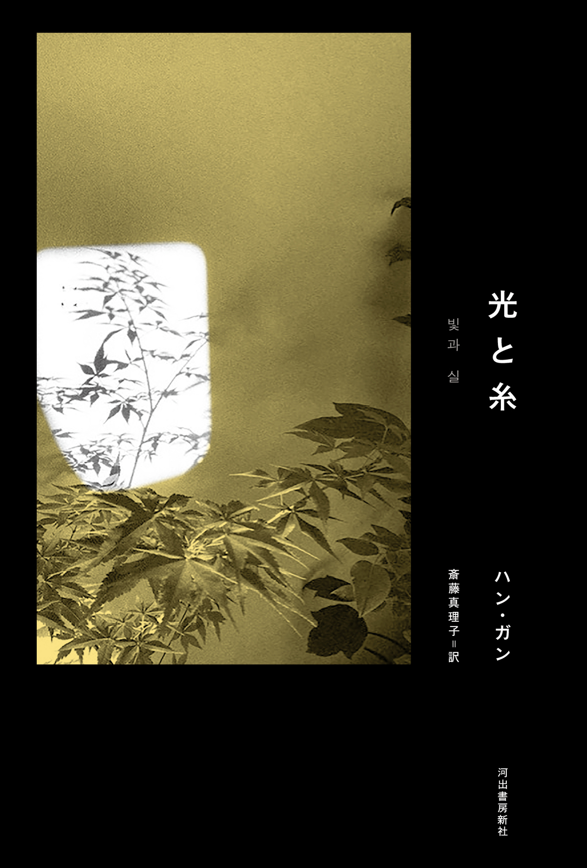 ノーベル文学賞作家ハン・ガン『光と糸』の画像