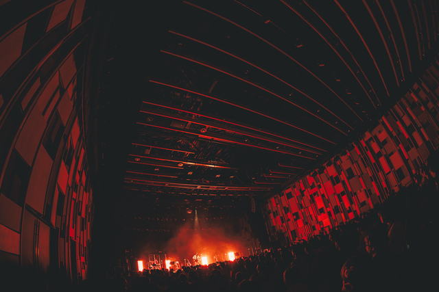 さとう。 ライブ写真