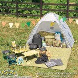 ポケモンデザインシリーズ