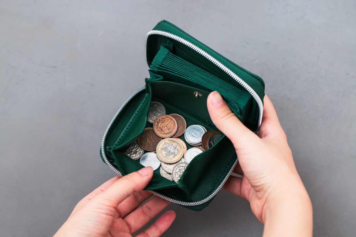 宝島社「やみつきサイフ」プレミアム版登場の画像