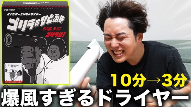 ないとーが紹介したドライヤー『ゴリラのひとふき』