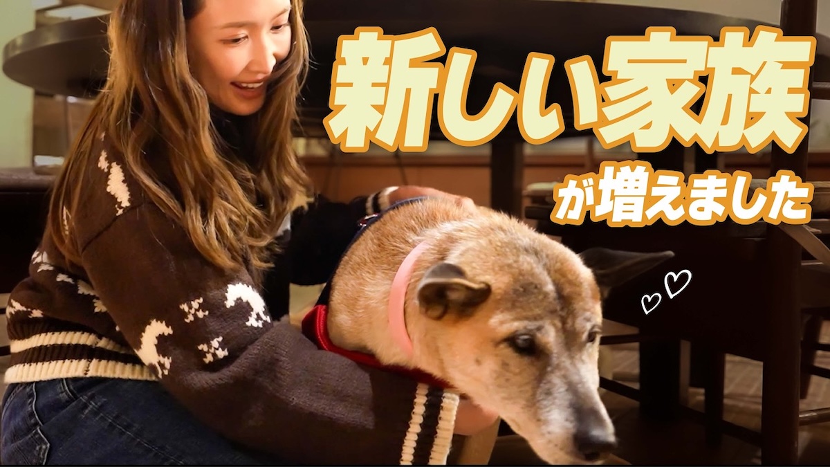 保護犬をお迎えする紗栄子