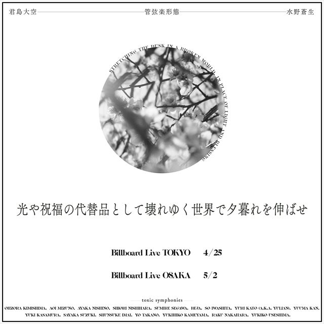 『君島大空 × 水野蒼生 管弦楽形態「光や祝福の代替品として壊れゆく世界で夕暮れを伸ばせ」』フライヤー