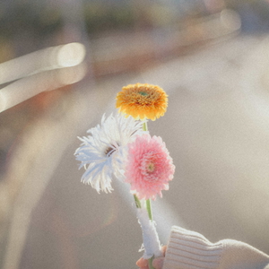 『なんかいい日になる気がする』