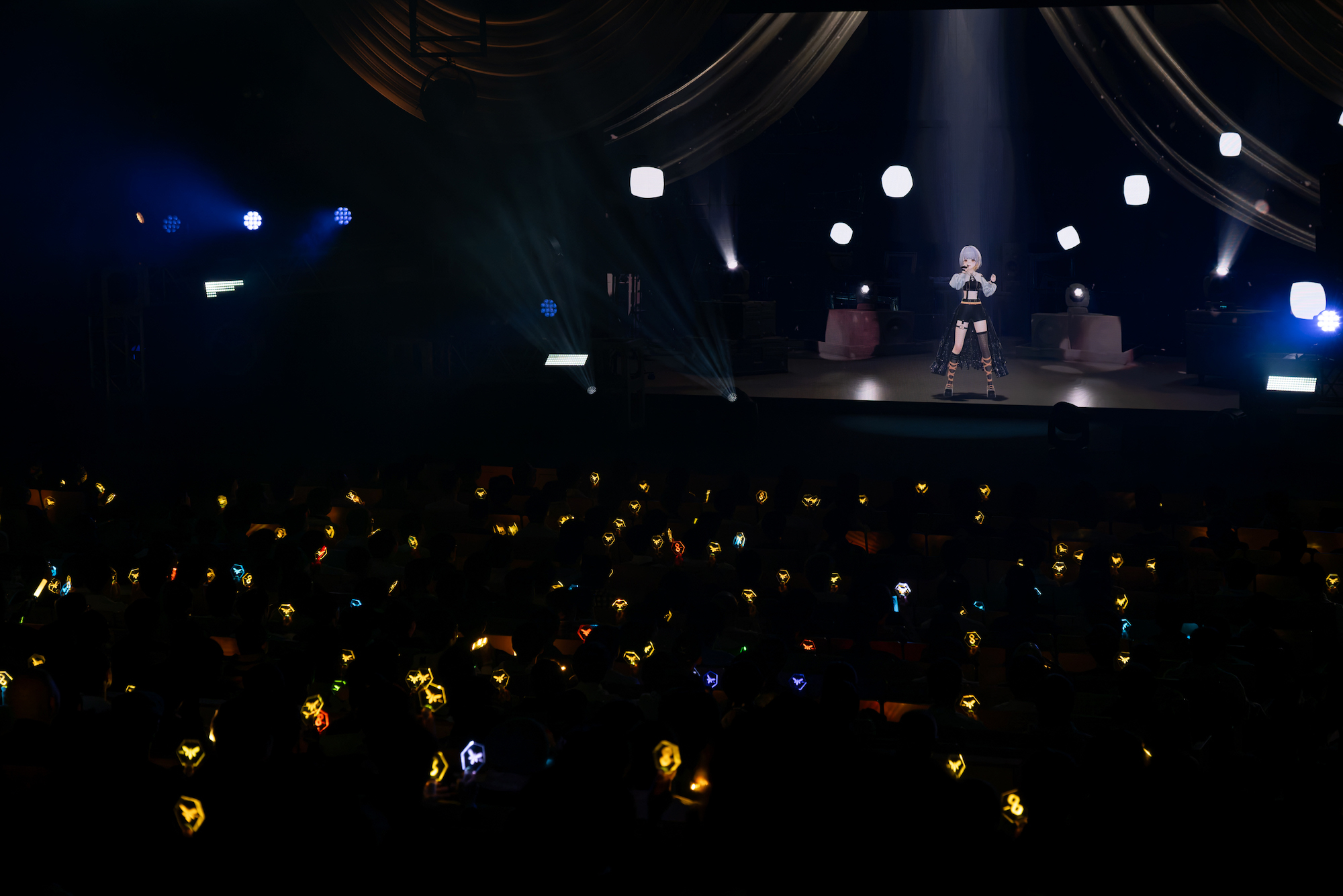 HACHI（提供＝Kenta Umeda）