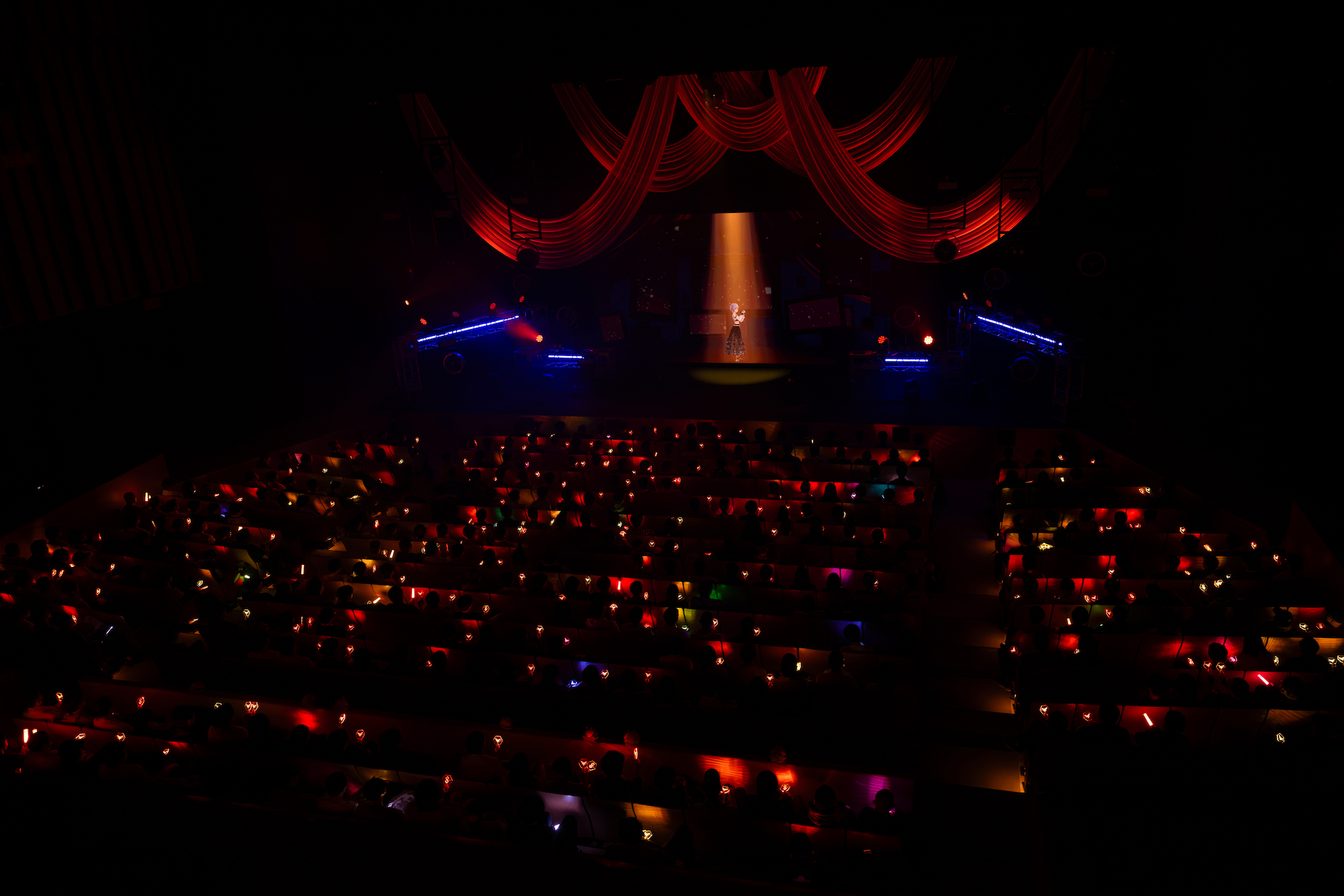 HACHI（提供＝Kenta Umeda）