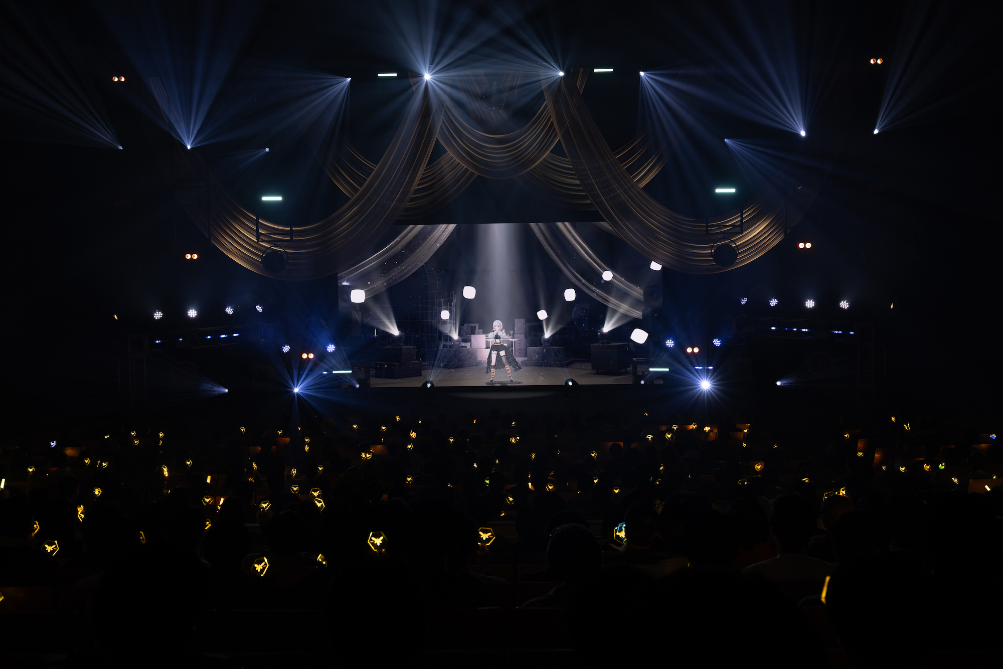 HACHI（提供＝Kenta Umeda）