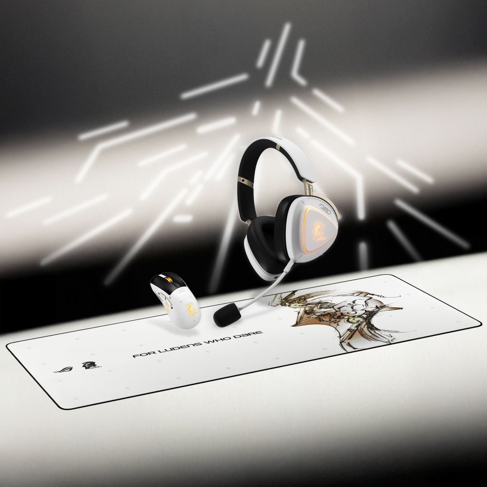 コジマプロダクションとのコラボモデル