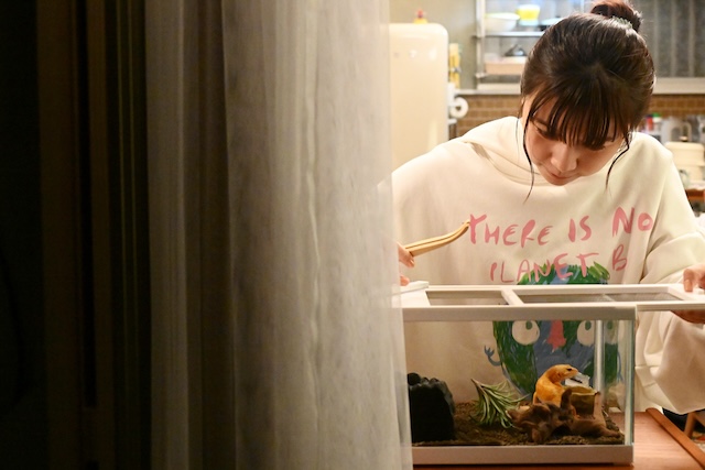 『パンダより恋が苦手な私たち』第1話写真の画像