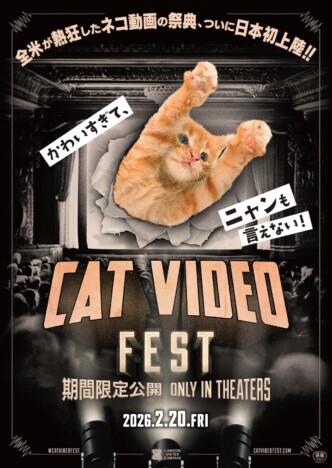 ネコ動画の祭典『CatVideoFest』2月20日公開へ　ネコが飛び出す予告編と本ポスターも