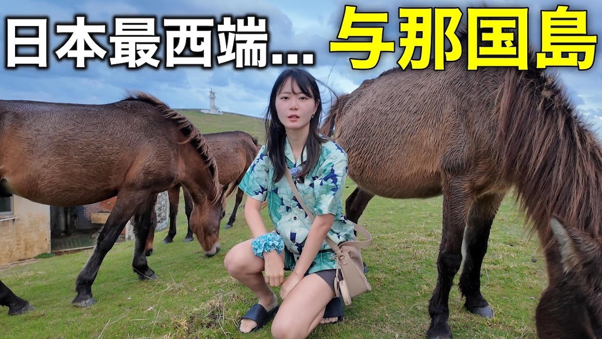 与那国島を満喫するいけちゃん