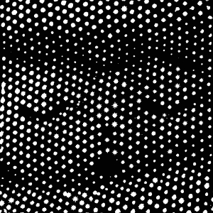 ラブリーサマーちゃん『ウインド・ソング』ジャケット