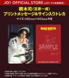 『BADBOYS -THE MOVIE-』Blu-ray&DVDの画像
