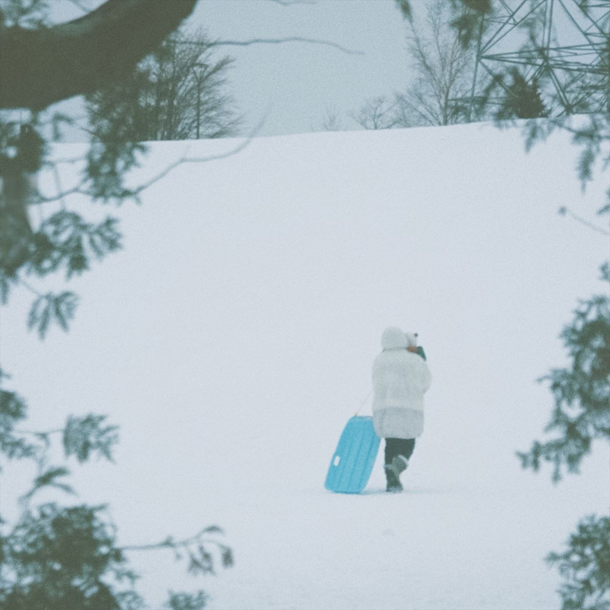 由薫「echo」ジャケット