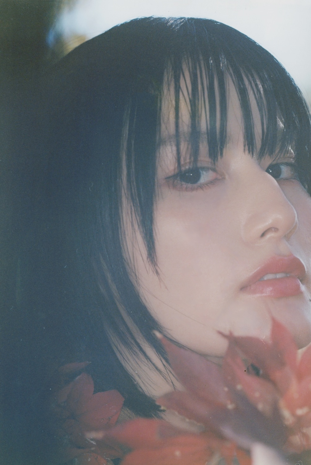 橋本愛、30歳でボブカット卒業？の画像