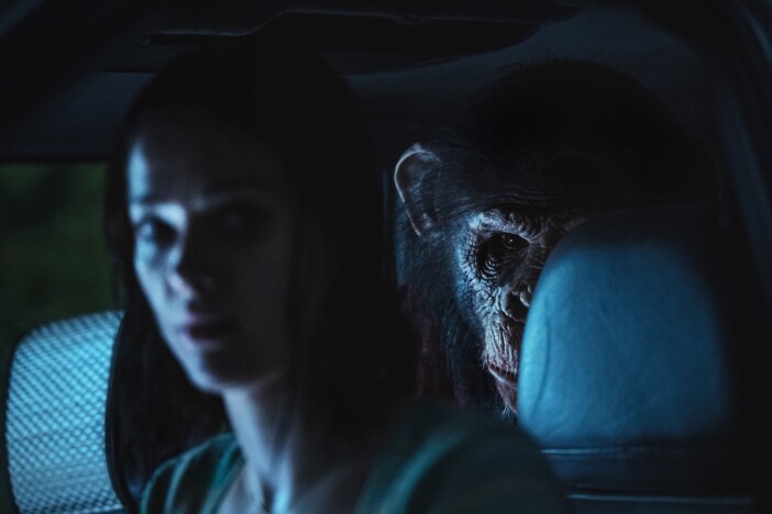 北米映画市場、1月は前年超え好水準 『アバター』ヒットを『おさるのベン』が追う