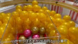 はじめしゃちょー、26万円ガチャに挑戦の画像
