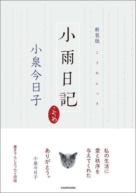 小泉今日子、『小雨日記』新装版刊行