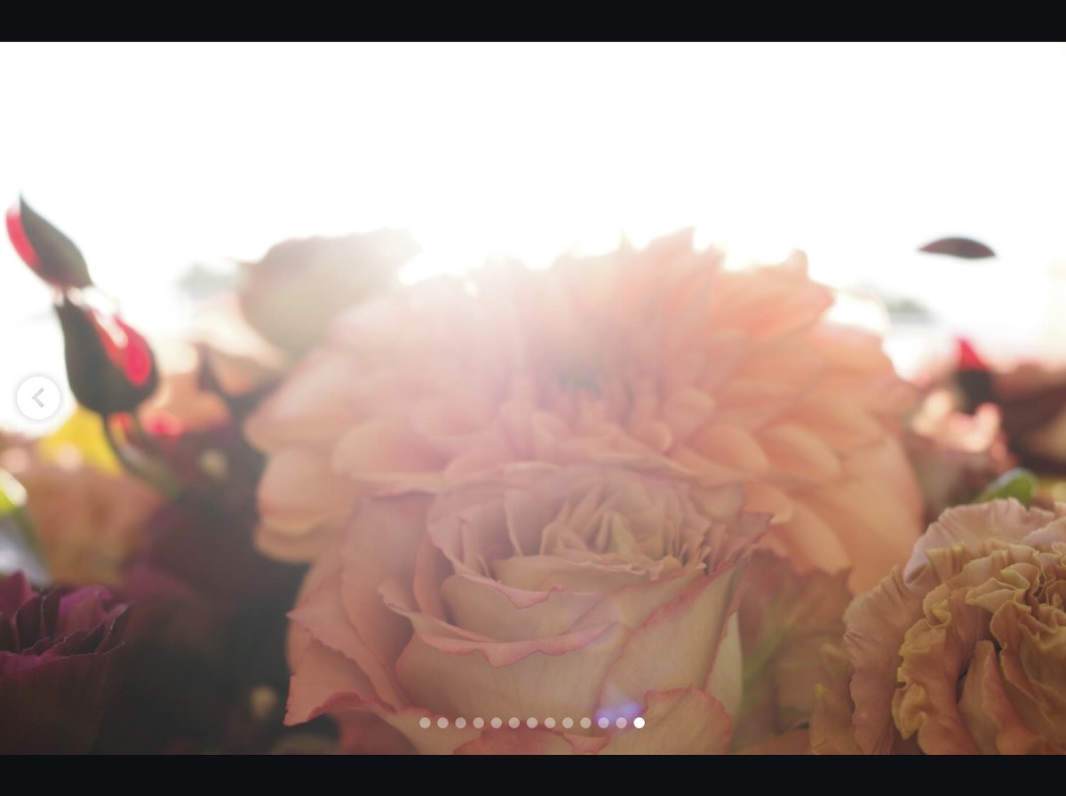 橋本愛、30歳バースデー迎え「感動」の画像