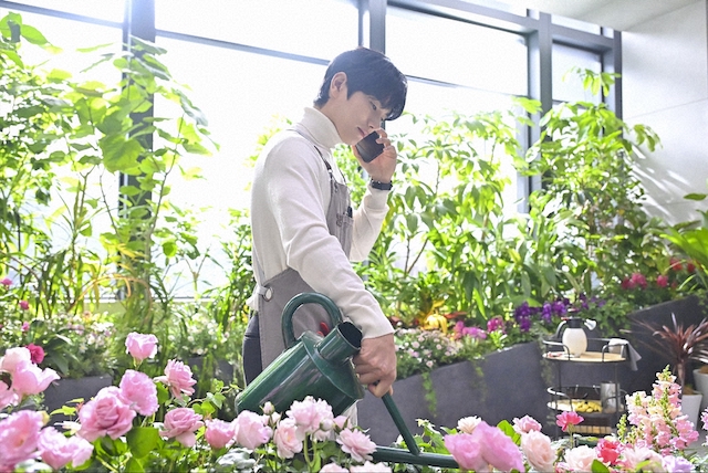 『DREAM STAGE』は新たな連ドラの形を作る？の画像