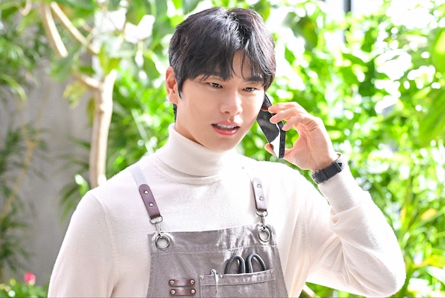 『DREAM STAGE』は新たな連ドラの形を作る？の画像