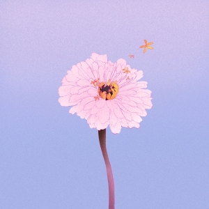 茉ひる「百日草」ジャケット