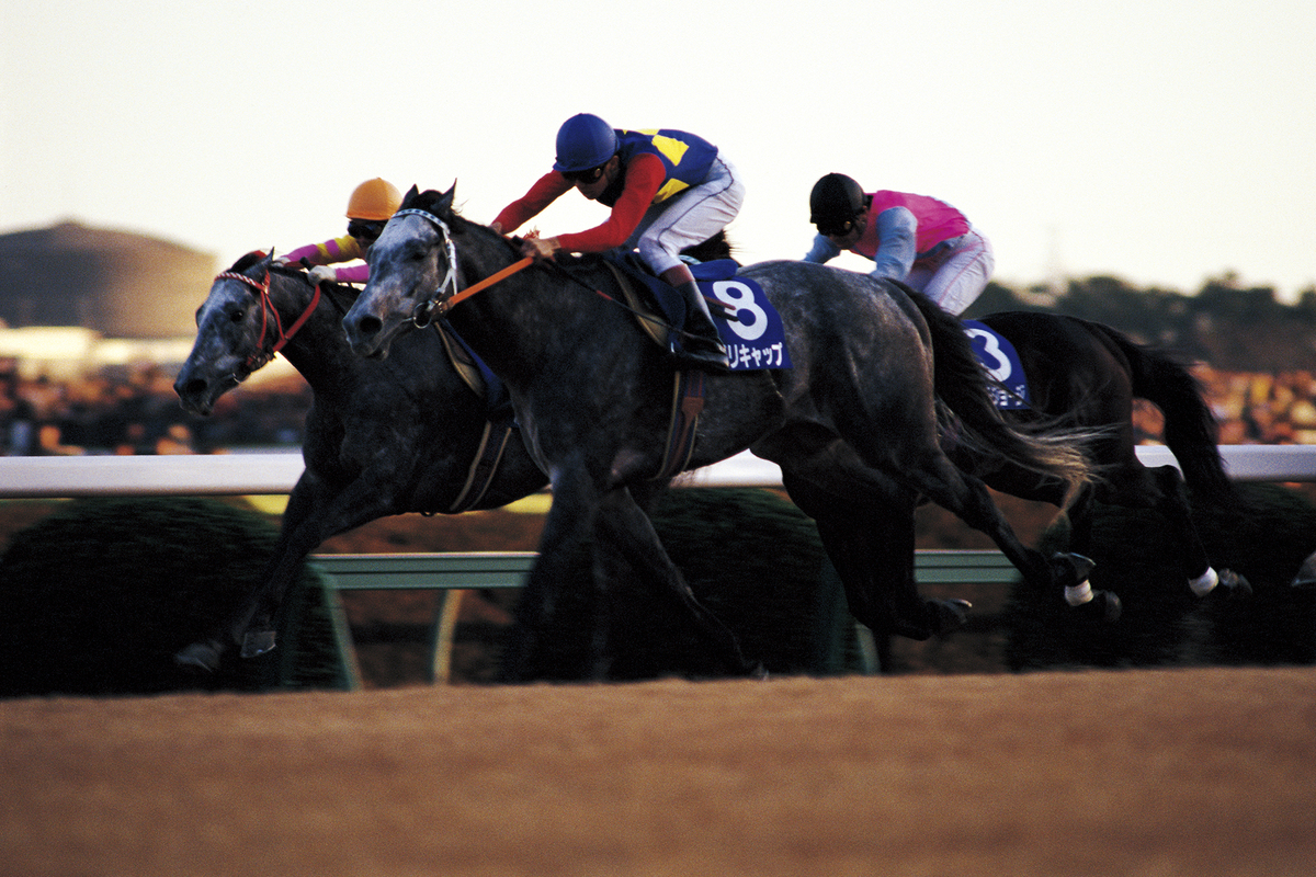 オグリキャップの写真集が重版決定の画像