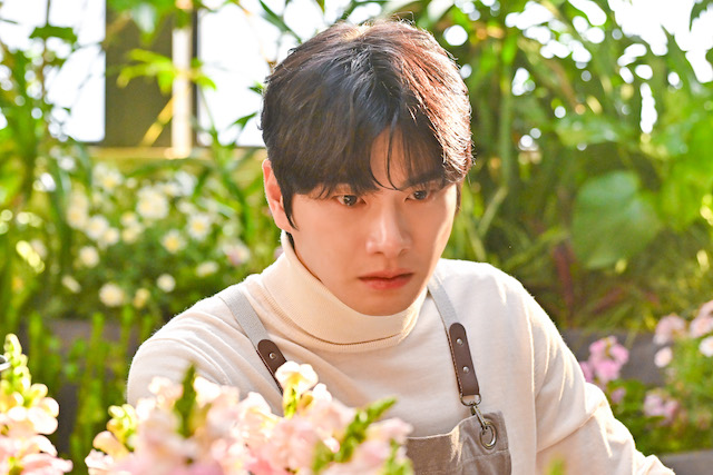 『DREAM STAGE』は“本気”のドラマにの画像