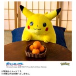 『ポケットモンスター ポケモン30周年記念 おかえり！ピカチュウ1/1』商品画像