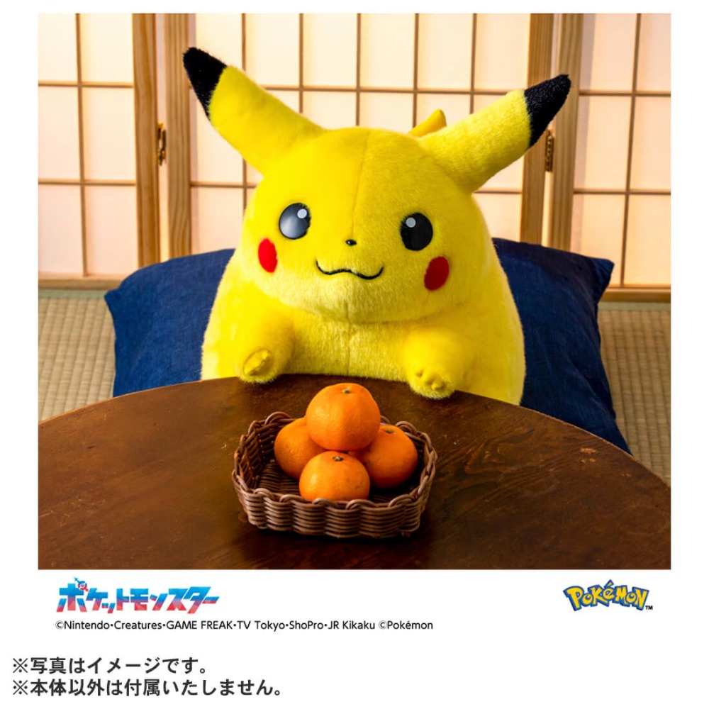 『ポケットモンスター ポケモン30周年記念 おかえり！ピカチュウ1/1』商品画像