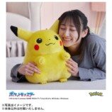 『ポケットモンスター ポケモン30周年記念 おかえり！ピカチュウ1/1』商品画像