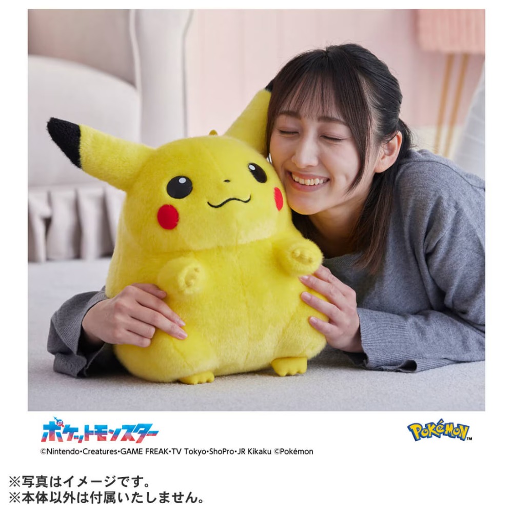 『ポケットモンスター ポケモン30周年記念 おかえり！ピカチュウ1/1』商品画像