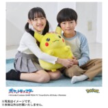 『ポケットモンスター ポケモン30周年記念 おかえり！ピカチュウ1/1』商品画像