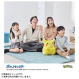 『ポケットモンスター ポケモン30周年記念 おかえり！ピカチュウ1/1』商品画像