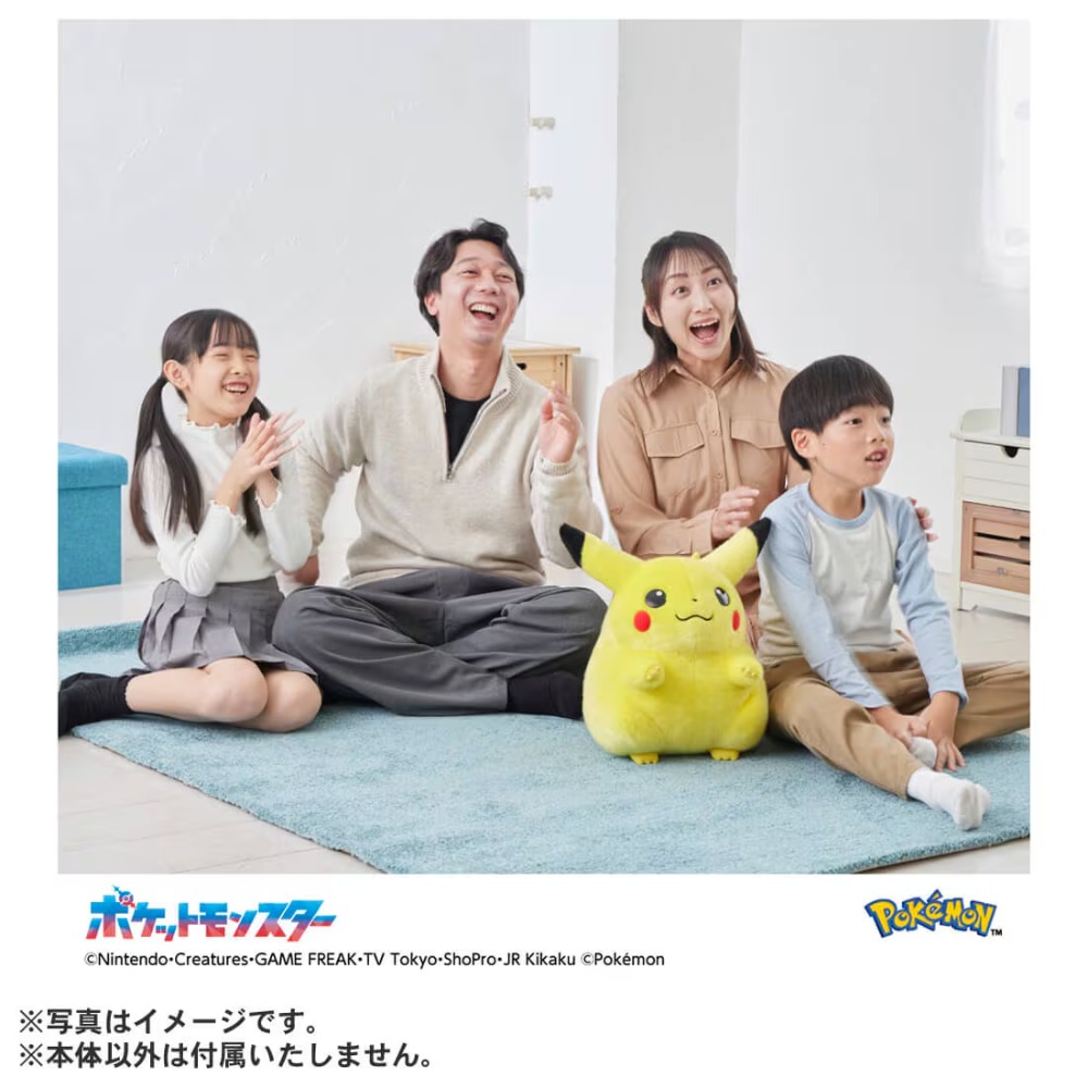 『ポケットモンスター ポケモン30周年記念 おかえり！ピカチュウ1/1』商品画像