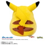 『ポケットモンスター ポケモン30周年記念 おかえり！ピカチュウ1/1』商品画像