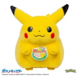 『ポケットモンスター ポケモン30周年記念 おかえり！ピカチュウ1/1』商品画像