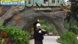 『ジャングリア沖縄』を全力で楽しむせいや