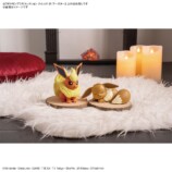 同シリーズのブースターとイーブイ