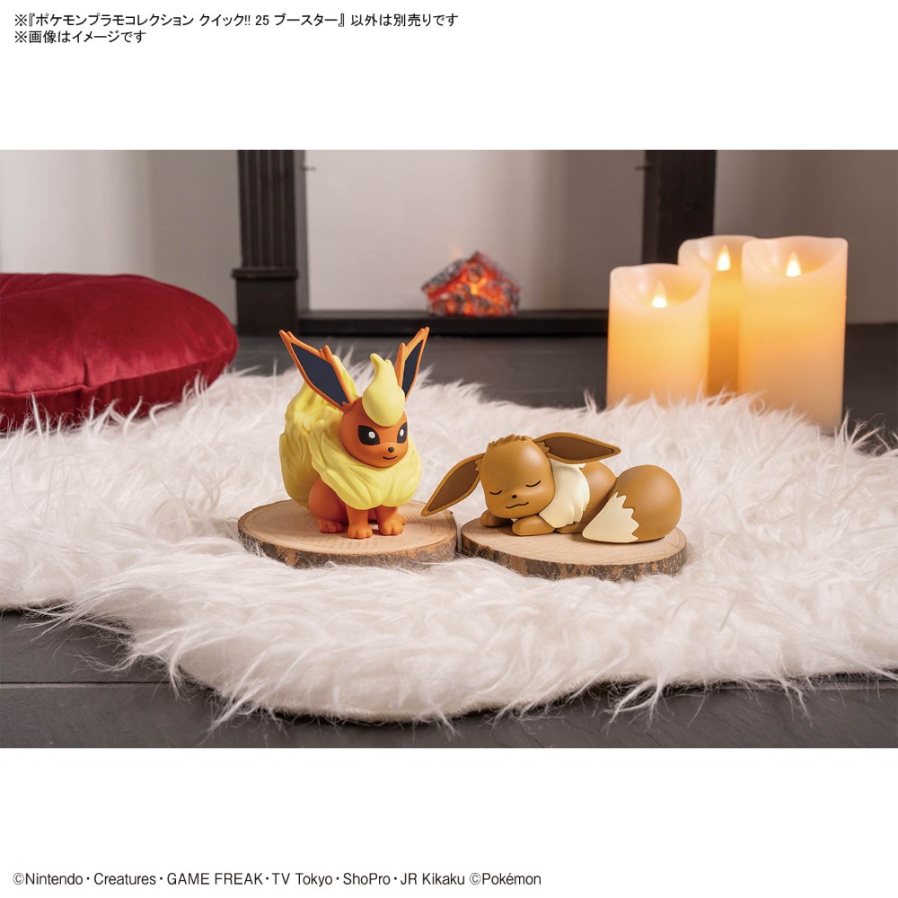 同シリーズのブースターとイーブイ