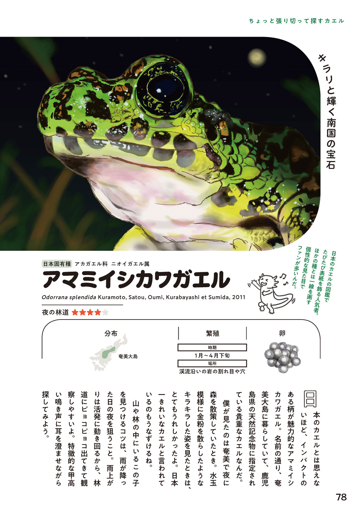 東大生によるカエル偏愛図鑑発売の画像